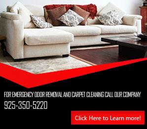 Office Carpet Cleaning - Carpet Cleaning Danville, CA