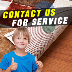 Contact Carpet Cleaning Services